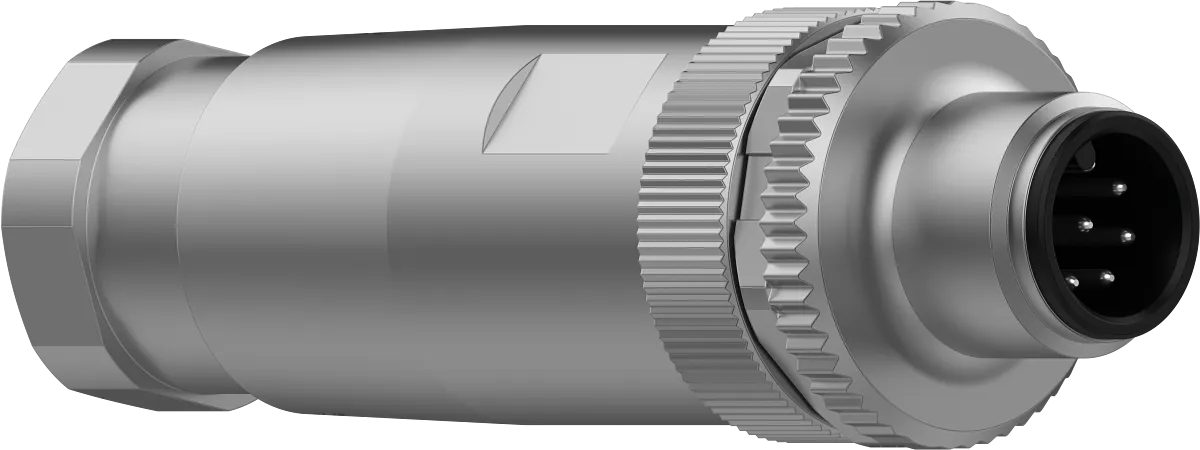 Picture 02