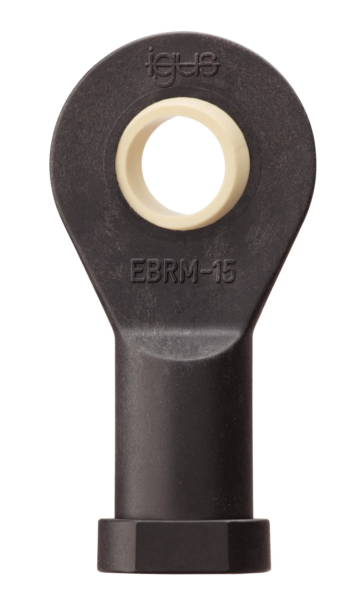 igubal_EBRM_EBLM