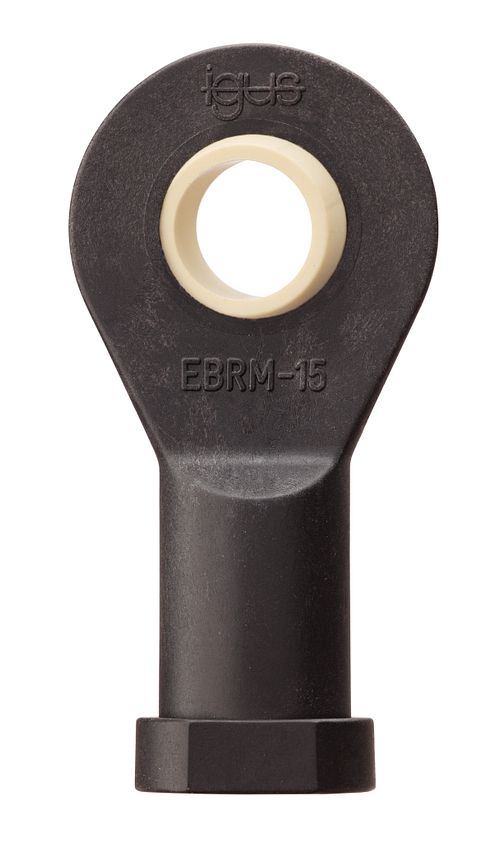 igubal_EBRM_EBLM