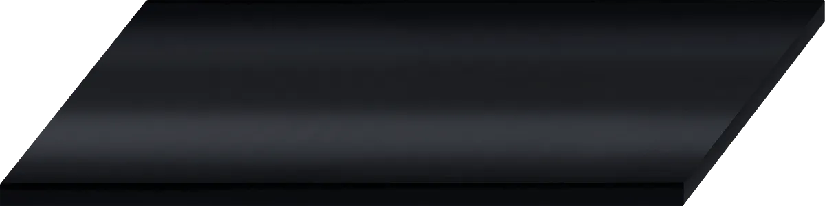 iglidur-SFP-FEC200
