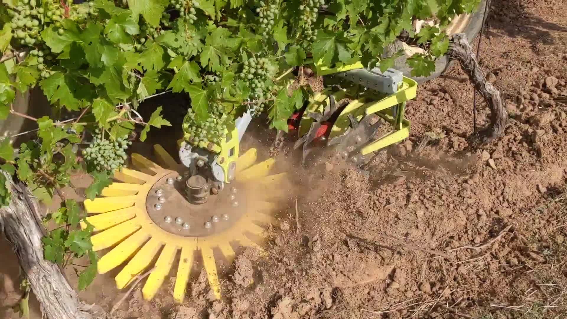1130-manus-2021-3.mp4