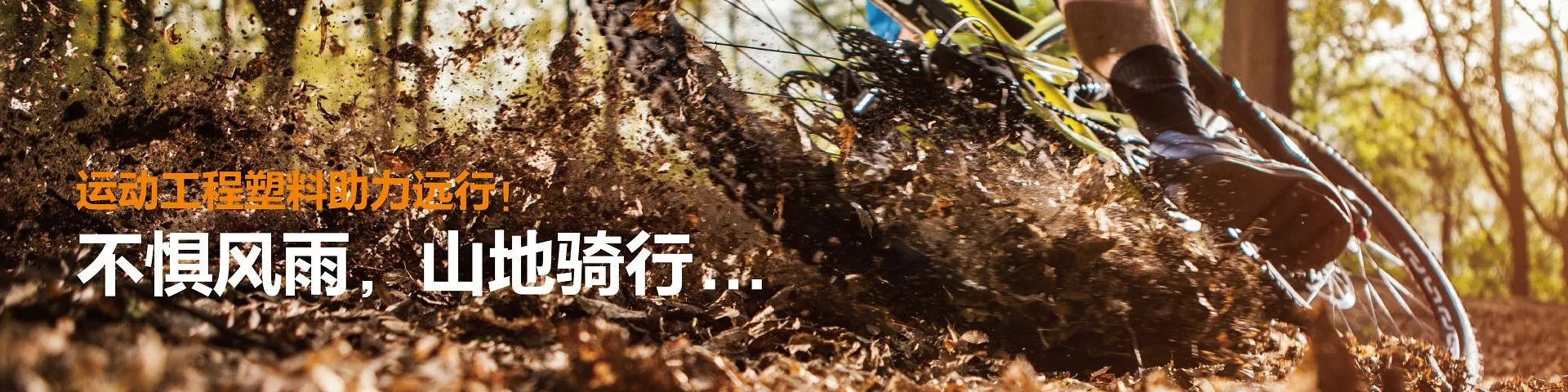 图片未找到