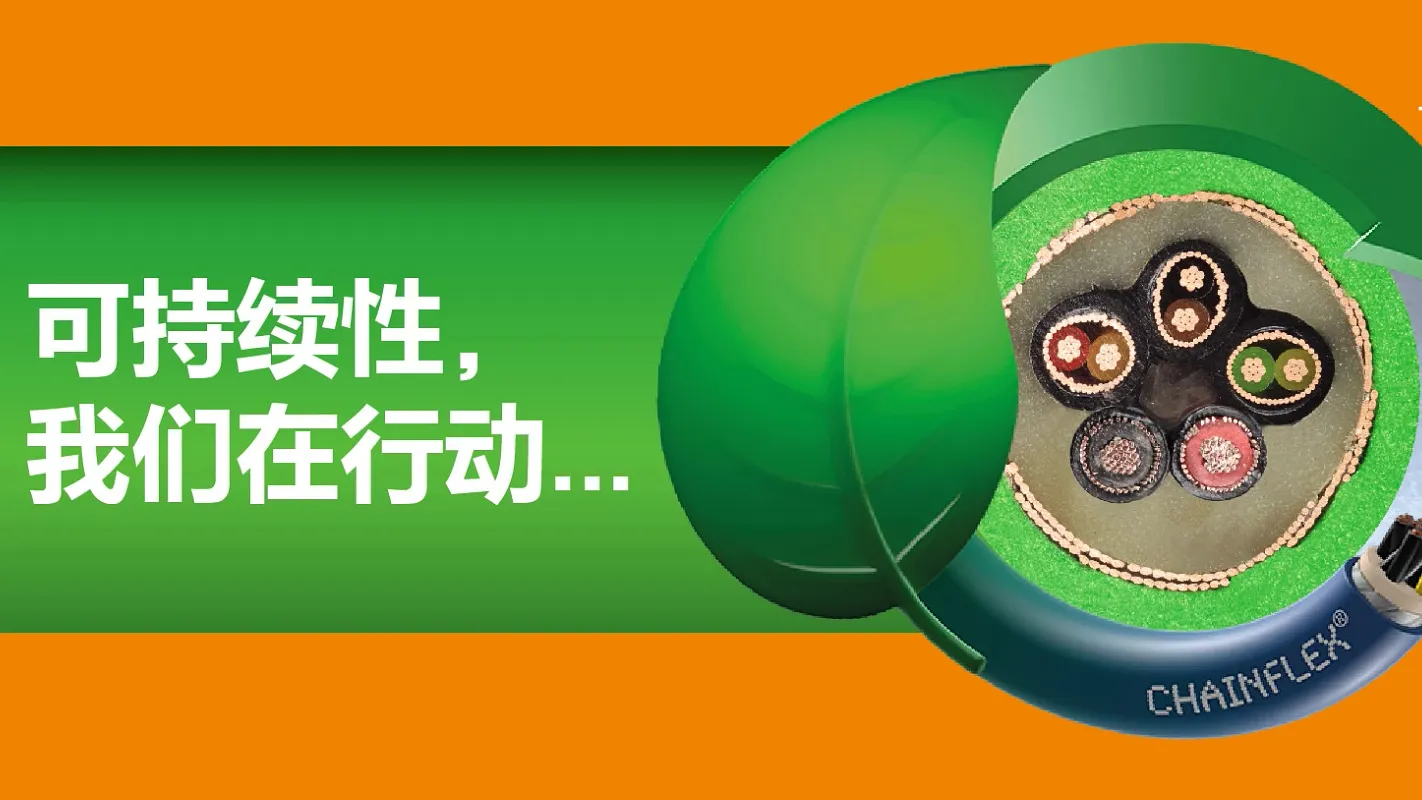 图片未找到