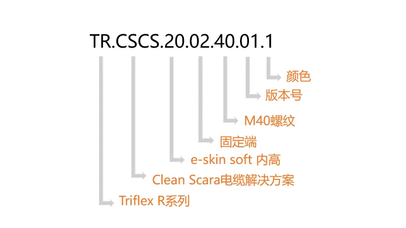 图片未找到