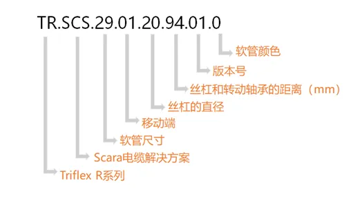 图片未找到