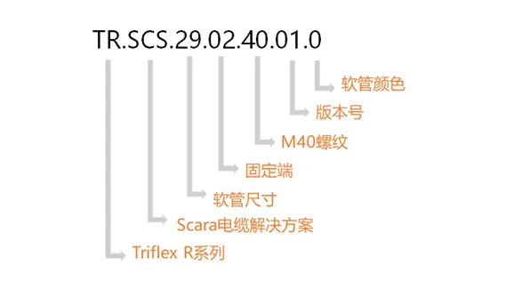 图片未找到