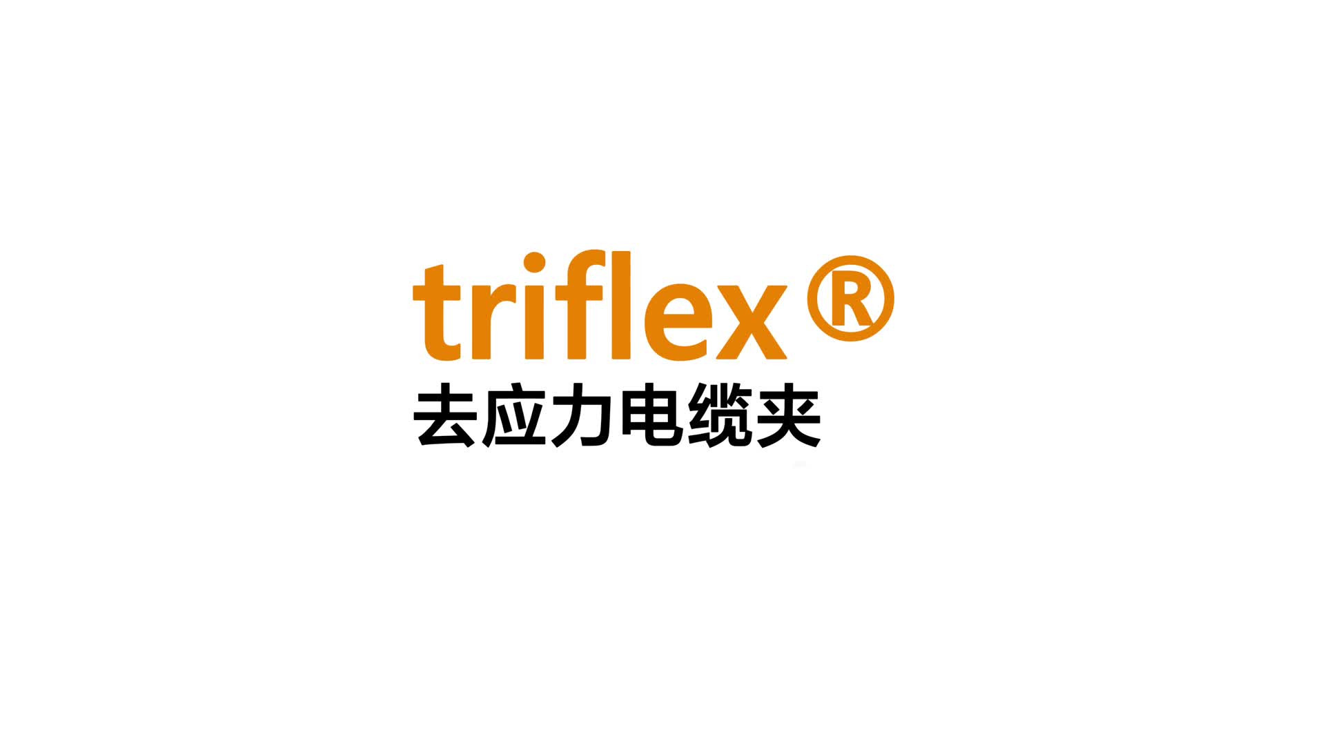 图片未找到