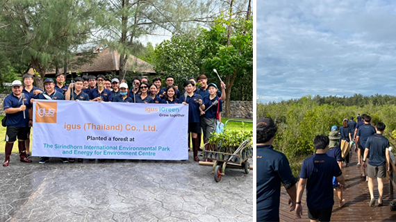 Collage Treeplanting Thailand 08_2022