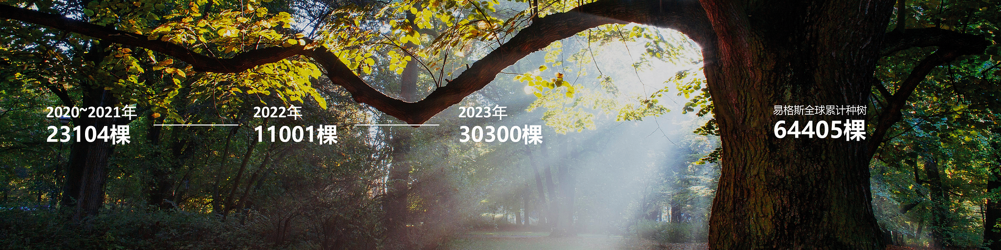 易格斯全球累计种树64405棵