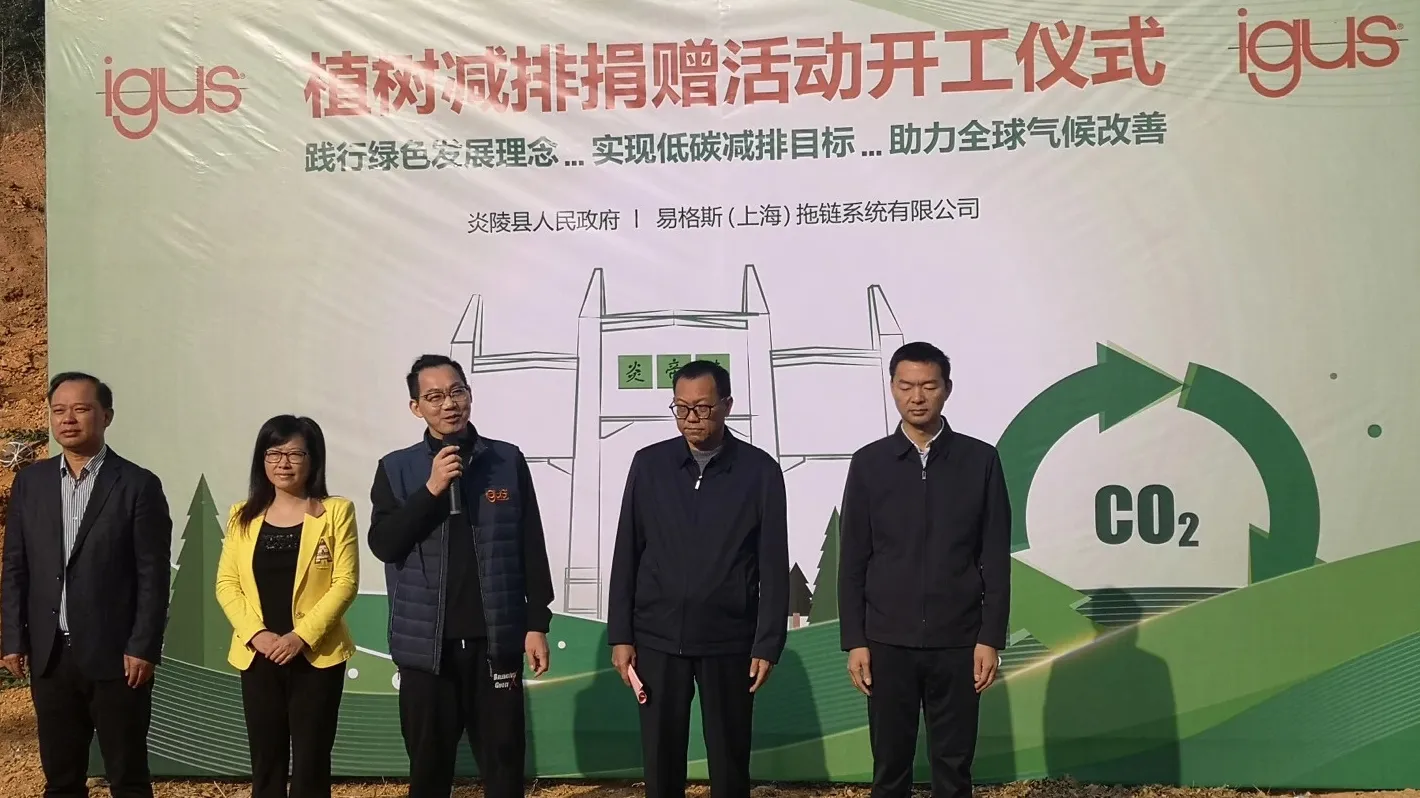 图片未找到