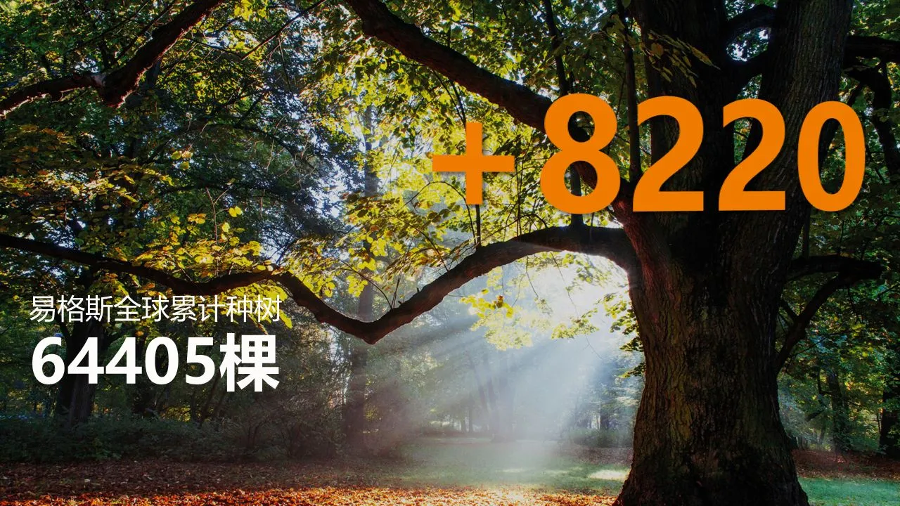 图片未找到