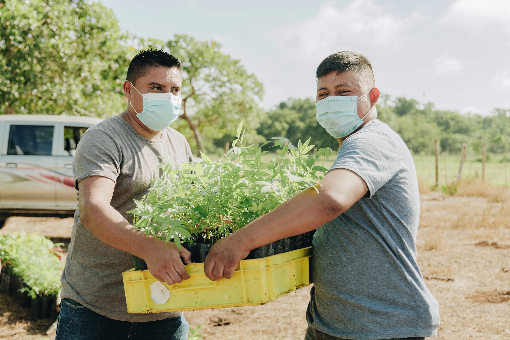 Farmers handing over tree seedlings in Guatemala as part of the ZeroCO2 tree planting campaign