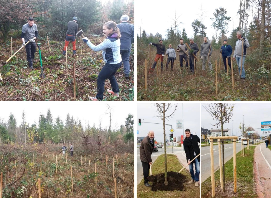 IGUS_GEN_tree_planting_Slovenia_nov2021_IA_1.jpg