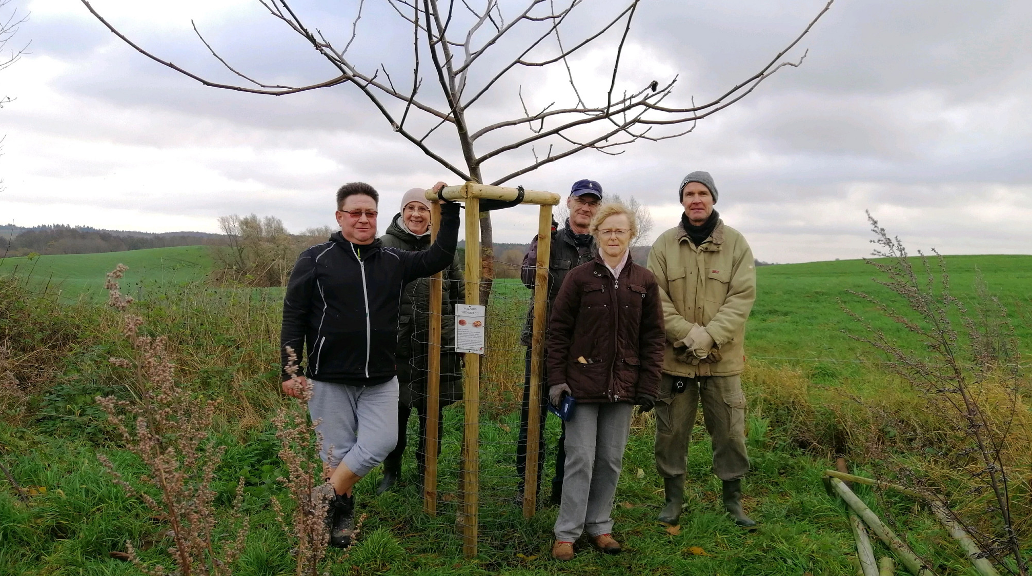 全球植树造林项目