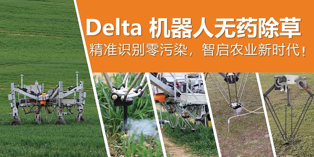 图片未找到