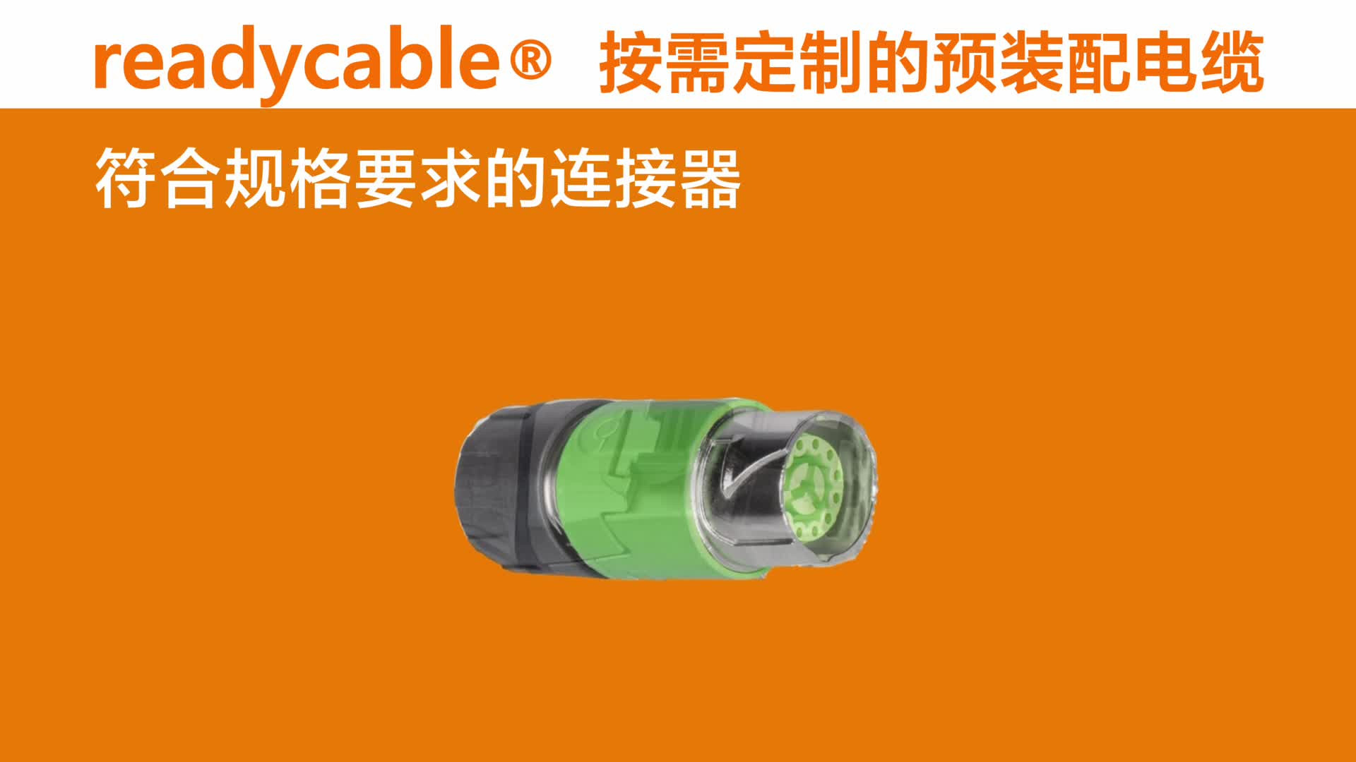 RCA_VID_Individual_customized_harnessing_long_loop_CN_1