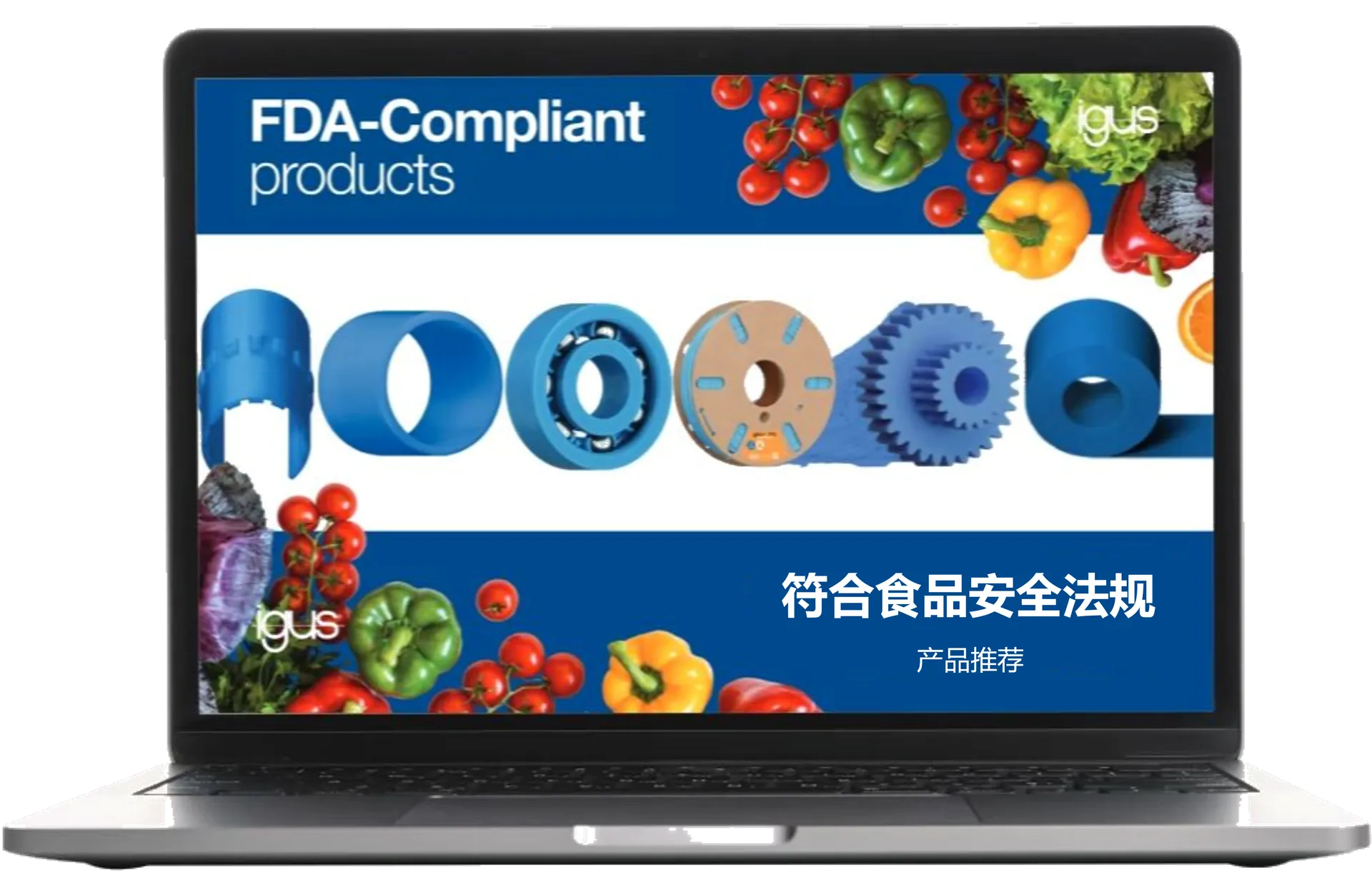 图片未找到