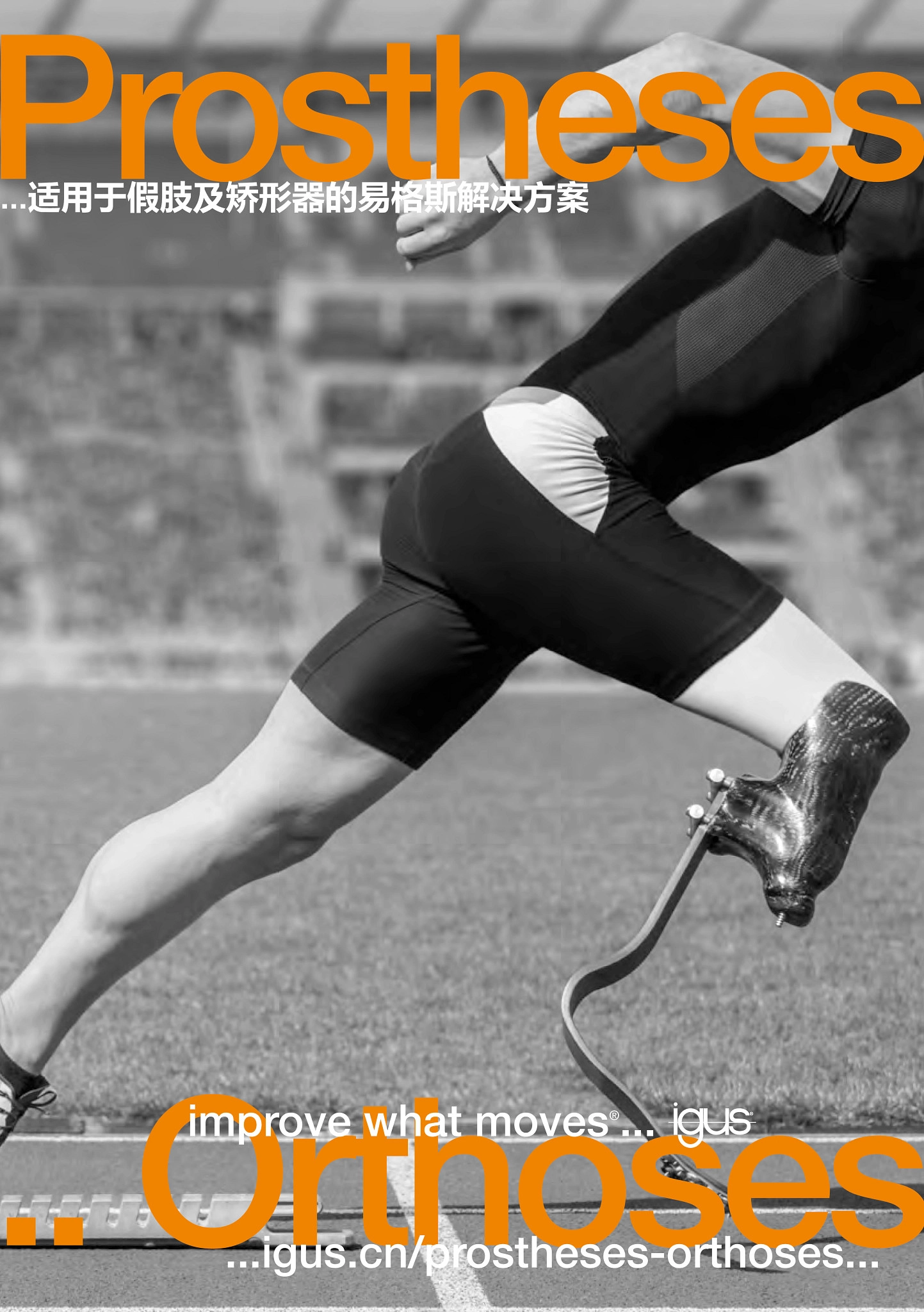图片未找到