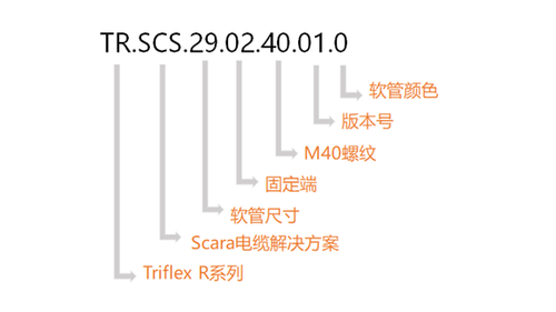 图片未找到