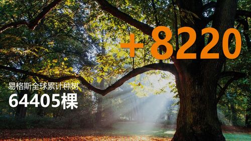 图片未找到